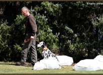 Leash management, placing of non-desired behavior