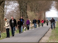 Techniken beim Gassi gehen