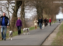 Leinenführung mit verschiedenen Leinen und Techniken - Fixierung zwischen Mensch und Hund