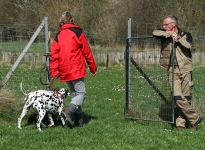 Einsatz von Hilfsmitteln zur Führung der Hunde