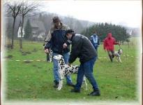 Unterstützung des Hundes durch richtiges Handling