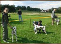 Setting up, presenting the dogs under the instruction of the dog handler instructor Mr. Lehmann