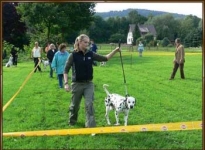 Leash management and proper running