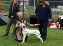 Individual training of participants, real positions of the hindquarters