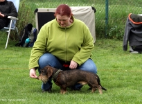 Einzelausbildung der Teilnehmer, richtiges Motivieren der Hunde