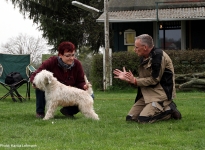 Individual training of participants, real positions of the hindquarters