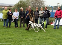 The dog as lead in racing, which is a sufficient distance from the dog handler present for curves or triangles can be run successfully