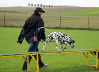 Durchlaufen des Parcours der Ruhe und Bestimmtheit