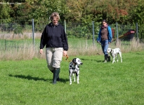 Leinenführung mit verschiedenen Leinen und Techniken - Fixierung zwischen Mensch und Hund