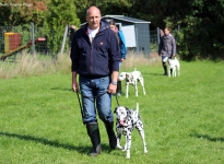 Leinenführung mit verschiedenen Leinen und Techniken - Fixierung zwischen Mensch und Hund