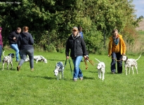 Leinenführung mit verschiedenen Leinen und Techniken - Fixierung zwischen Mensch und Hund