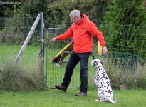 Einsatz der erlernten Techniken