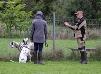 Use of tools to guide the dogs