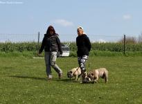 Individual training leash management