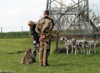 Körpersprache, Grifftechniken, Einsatz von Hilfsmitteln