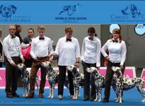 Presentation of Christi ORMOND Breeding Group on the World Dog Show in Leipzig | Germany