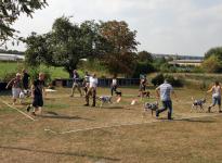 Comply exercises in the show ring, spacing & placing of dogs