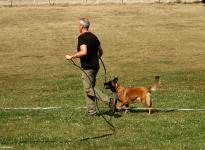 Tracking leash guide