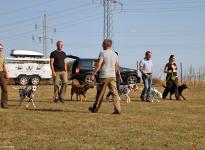 Einsatz von Hilfsmitteln zur Führung der Hunde