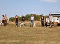 Leash management with different leashes and techniques