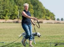 Tracking leash guide