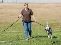 Tracking leash guide