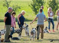 Leash management with different leashes and techniques