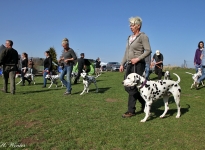 Leash guide with different leashes and techniques