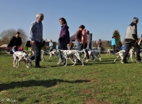 Techniques go for a walk