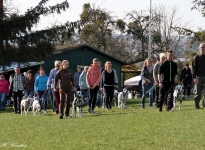 Leinenführung mit verschiedenen Leinen und Techniken - Fixierung zwischen Mensch und Hund