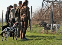 Einsatz der erlernten Techniken