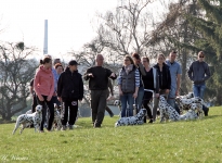 Techniques go for a walk