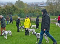 Leash management with different leash and techniques