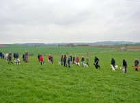 Instruction in the new course