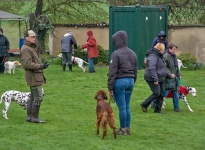 Techniques for walking with the dog