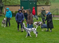 Training station Guiding and correcting the dog as other dogs pass by