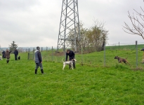 Ausbildungsstation Führung und Korrektur des Hundes beim Vorbeigehen an Gartenzäunen