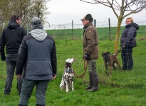 Training station Guiding and correcting the dog as it passes garden fences