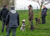 Ausbildungsstation Führung und Korrektur des Hundes beim Vorbeigehen an Gartenzäunen