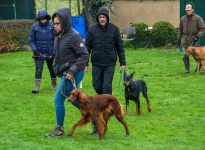 Individual training in leash guidance