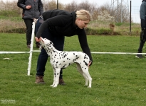 Individual training of the participants, correct positioning of the hindquarters