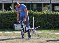 Einzelausbildung der Teilnehmer, richtiges Motivieren der Hunde