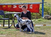 Individual training of the participants, correct positioning of the hindquarters