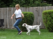 Correct & present entry into the show ring