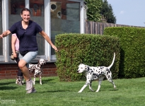 Correct & present entry into the show ring