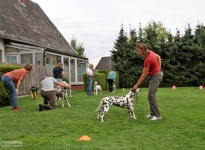 Exercises for presenting the dog