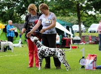 Heike Winter mit Christi ORMOND Highly Diamond Fuji