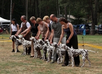 Zuchtgruppe Christi ORMOND
