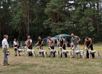 Zuchtgruppe Christi ORMOND