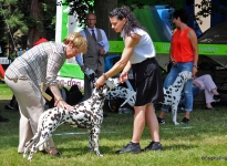 Angelique Kronefeld-Obert mit Christi ORMOND First Fairytale